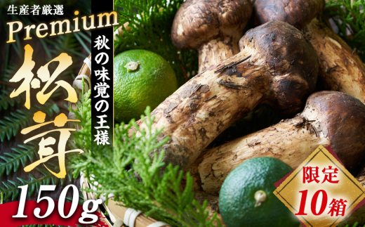 数量限定 松茸 生産者厳選 プレミアムまつたけ 150g 2本程度 箕輪町産 