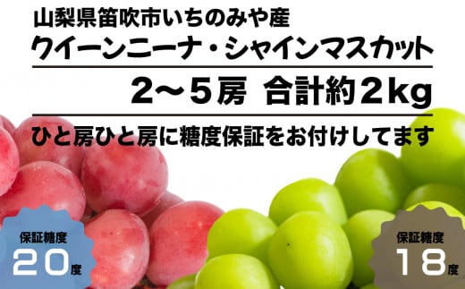 全房糖度保証付】希少品種クイーンニーナとシャインマスカット食べ比べ 合計約2kg【数量限定】旬の美味しいフルーツだけをお届けします【ルッチ  Rucci】産地直送 山梨県 笛吹市 果物 葡萄 ぶどう 赤ブドウ 赤系 贈答 人気 ギフト - 山梨県笛吹市｜ふるさとチョイス ...