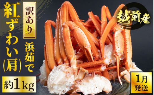 y䌧zOz [①] y󂠂zl䥂ŁzOY g킢   1kgygYCKj {C I  Jj 䌧zy1z [e22-x010_01]