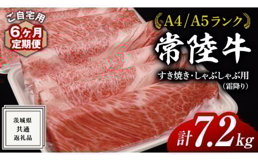 y錧vszy 6  zw 헤 x p Ă Ԃԗp ( ~ ) 1.2kg   [X  [X ( 錧ʕԗi ) јa a Y ~ 󂠂 킯