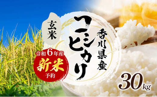 №4631-2586]令和6年産 新米「コシヒカリ」30kg（玄米） - 香川県東かがわ市｜ふるさとチョイス - ふるさと納税サイト