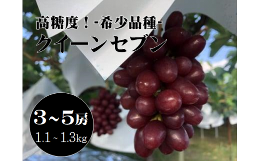 【先行受付2024年発送分】 クイーンセブン 3～5房(1.1kg-1.3kg) ぶどう 葡萄 フルーツ 果物 やまなし 山梨 産地直送 富士川町  種無し 皮ごと - 山梨県富士川町｜ふるさとチョイス - ふるさと納税サイト