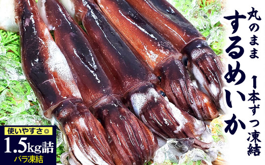 真いかするめ足【2kg】Sサイズ 射