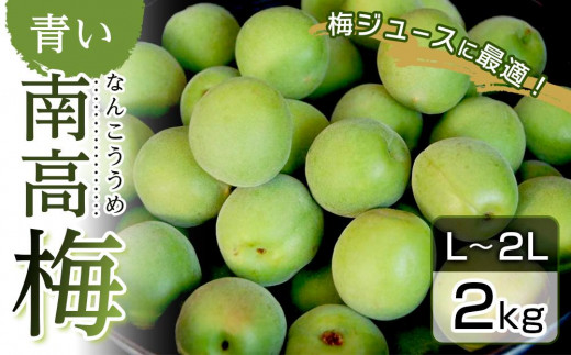 紀州南高梅 約10kg Lサイズ以上 華々しい 農家直送【減農薬】6/2頃より 