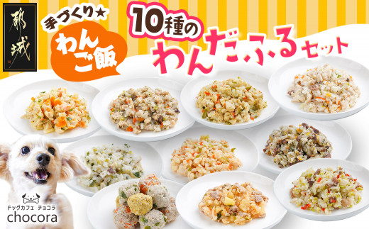 手づくり☆わんご飯『10種のわんだふるセット』_AC-J501_(都城市) 犬用 手づくりご飯 鶏ごぼうご飯 サーモンリゾット すき焼き風ご飯  とまとスープご飯 ぶり大根 馬肉ッパ 牛しぐれ等 ペットフード - 宮崎県都城市｜ふるさとチョイス - ふるさと納税サイト