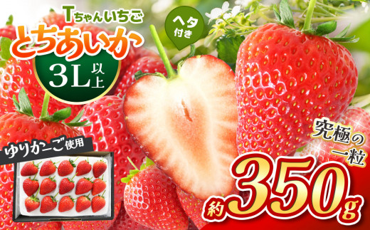 とちあいか3L以上ホール詰め 350g - 栃木県真岡市｜ふるさとチョイス