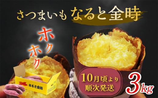 【 予約受付中・2024年10月頃より順次発送 】なると金時 3kg さつまいも 鳴門金時 熟成 国産 スイーツ 焼き芋 焼芋 焼いも 干し芋 ギフト  贈り物 お土産 サツマイモ - 徳島県鳴門市｜ふるさとチョイス - ふるさと納税サイト