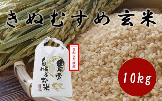 HD08 令和6年度産 きぬむすめ 玄米 30kg 岡山県倉敷市産【玄米 米 きぬむすめ 国産 岡山県 倉敷市 人気 おすすめ】 - 岡山県倉敷市｜ふるさとチョイス  - ふるさと納税サイト