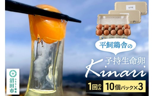 【群馬県沼田市】子持生命卵 Kinari(有精卵30個)10個パック×3つセット 自然の恵みファームズ