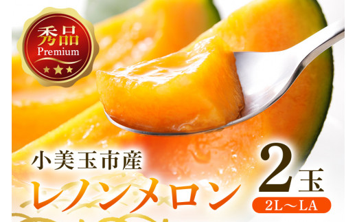 数量限定・期間限定】 おみたまレノンメロン 赤肉 2玉 メロン 秀