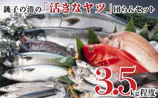 銚子の港の 「活きなヤツ」団らんセット - 千葉県銚子市｜ふるさとチョイス - ふるさと納税サイト