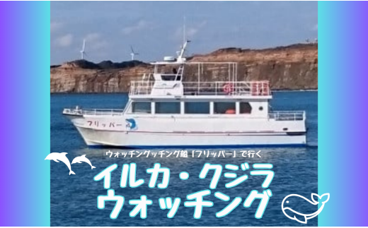 ウォッチング船「フリッパー」で行くイルカ・クジラウォッチング - 千葉県銚子市｜ふるさとチョイス - ふるさと納税サイト