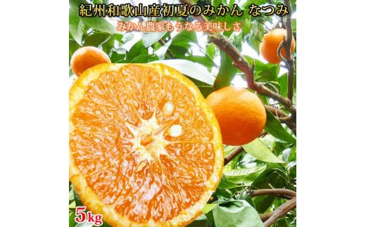ya̎Ra̎RszĂ݂̂ Ȃ 5kgms\nm2026N4{蔭nmUT57n