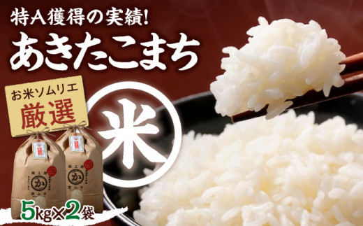 令和6年産新米 お米 あきたこまち 10kg（5kg×2袋）【米食味鑑定士×お米ソムリエ×白米ソムリエ】 あきたこまち お米 10kg おこめ  おいしいお米 即納 愛媛県産お米 愛媛県大洲市/稲工房案山子 [AGAV003] お正月 クリスマス - 愛媛県大洲市｜ふるさとチョイス -  ふるさと納税 ...