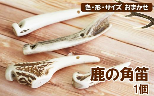 鹿の角 角笛 1個 【竜鹿】／ 鹿角 鹿 しか シカ グッズ 本物