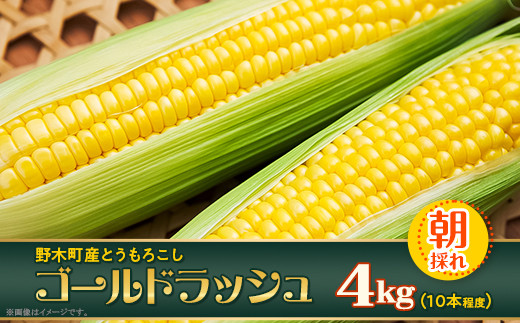 とうもろこし 10本程度 約4kg ゴールドラッシュ 黄色 イエロー 朝採れ クール便 先行予約 野菜 スイートコーン コーン ON01  2024年6月中旬ころ～7月下旬ころ発送予定 - 栃木県野木町｜ふるさとチョイス - ふるさと納税サイト