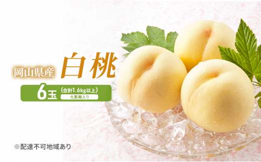 yRsz[5615-0522] 2026N s\  6 (1.6kgȏ) ϔ   RY Y t[c ʕ Zbg Mtg