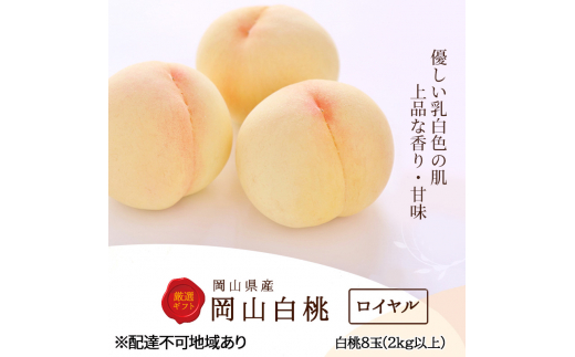 yRsz[5615-0530] 2026N s\  8ʁi2kgȏj FC ϔ   RY Y t[c ʕ Zbg Mtg