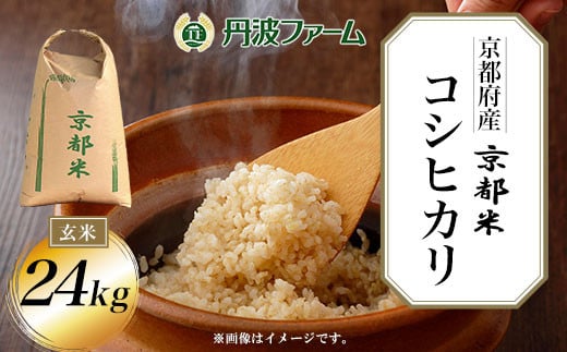 京都産 丹波 令和六年産 コシヒカリ 新米 玄米 30kg 60 食品