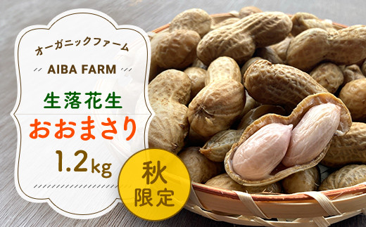 【新豆】農家直送！千葉県産「生落花生」おおまさり1.2kg オーガニックファーム AIBA FARM 生落花生 生らっかせい 生ピーナッツ 落花生  らっかせい 千葉県 富里市 皮付き 殻付き ピーナッツ ぴーなつ 南京豆 TML005 - 千葉県富里市｜ふるさとチョイス ...