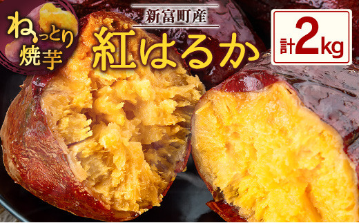 y{茧VxzĂInug͂邩vv2kg Y VxYm12`5oׁn܂ ˂ƂĈ CyA310-1205z