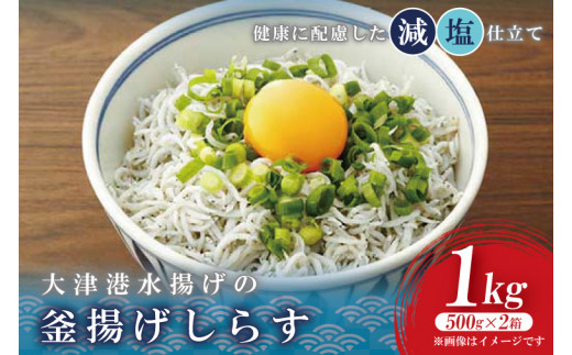 y錧kszÍ`g̊g炷@1kg(500g×Q) (AS209)