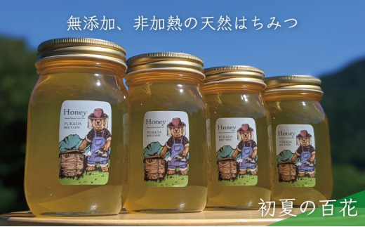 №5308-0260]合計2400g 天然蜂蜜 国産蜂蜜 非加熱 生はちみつ 岐阜県 美濃市産 初夏 (蜂蜜600g入りガラス瓶4本)B8 - 岐阜県美濃市｜ふるさとチョイス  - ふるさと納税サイト