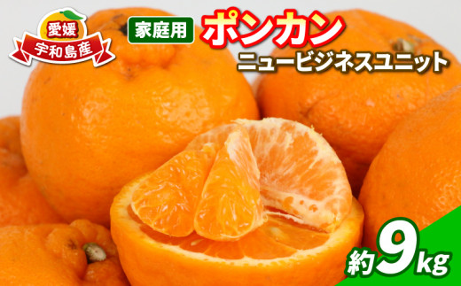こみかん 64012314001A2.jpg