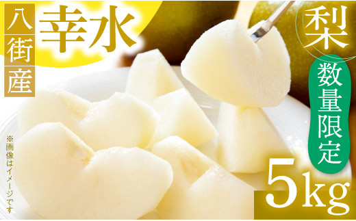fiftyfive55 千葉産幸水梨5k×４ 20k 千葉県産 幸水梨5kg4L 12玉（220_梨25） : マルエツ