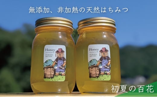 №5308-0258]合計1200g 天然蜂蜜 国産蜂蜜 非加熱 生はちみつ 岐阜県 美濃市産 初夏 (蜂蜜600g入りガラス瓶2本セット)B6 -  岐阜県美濃市｜ふるさとチョイス - ふるさと納税サイト