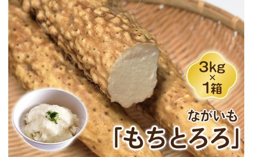 さなさな 青森県産　土付き 春堀り 長芋 6キロ　泥付き　ながいも　山芋 ながいも「もちとろろ」3kg×1箱｜青森産 長芋 長いも なが芋 野菜