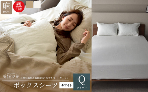 yÉlsz100% l {bNXV[c NC[TCY zCg u[mv [5786-5598]