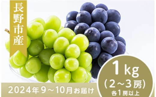 J0502 長野市産 ナガノパープル＆シャインマスカット詰合せ１kg【2024年9月以降出荷分】 - 長野県長野市｜ふるさとチョイス -  ふるさと納税サイト