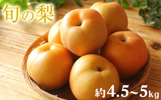 梨 先行予約 旬の梨 和梨（幸水 豊水 あきづき 甘太 新興 晩三吉 ）約