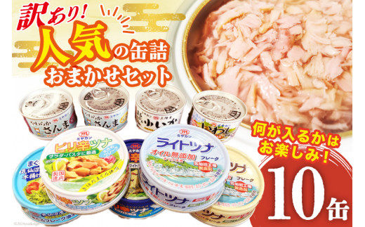 訳あり お任せ 缶詰 人気10缶セット [ミヤカン 宮城県 気仙沼市