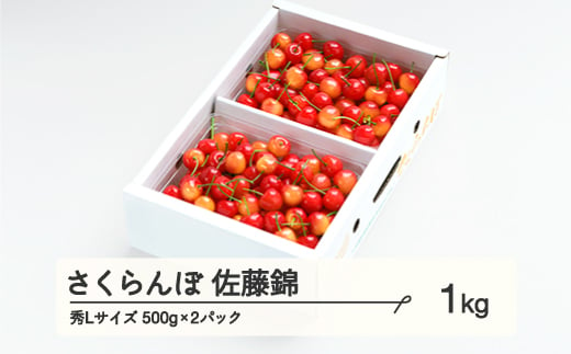 先行予約》 さくらんぼ 佐藤錦 秀Lサイズ プレゼント ギフト バラ詰め 1kg(500g×2パック) 2025年産 令和7年産 山形県産  ns-snslb1 - 山形県山辺町｜ふるさとチョイス - ふるさと納税サイト