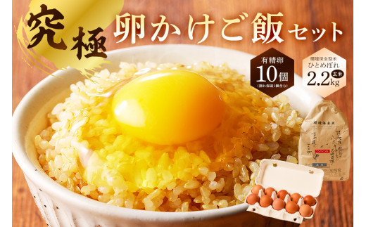 配送月が選べる 究極卵かけご飯セット（有精卵10個（割れ保証1個含む