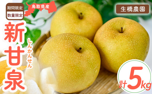 新甘泉【鳥取県産】5kg(生橋農園) 鳥取 梨 5kg 果物 フルーツ 和梨