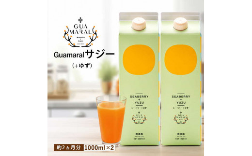 y錧É͎sz TW[W[X+䂸 1000ml×2{Zbg | TW[ V[x[  OA} NhN N e h{ ʏ` S⋋ h{⋋ NHi Mtg  v[g J