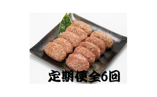 【大阪府茨木市】<2ヵ月毎定期便>特選和牛(焼肉薩摩の完熟平野幸一之牛)ハンバーグ10個全6回【4050394】