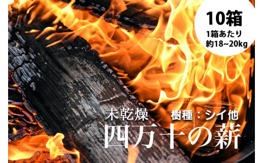 四万十の薪 未乾燥 シイ他(約18～20kg)×10箱 Bnm-09 四万十の薪 未乾燥 キャンプ 薪ストーブ ストーブ 薪割り 割り薪 まき 乾燥  済 アウトドア キャンプ ファイヤー 焚き火 焚火 森林 林業 木 サウナ - 高知県四万十町｜ふるさとチョイス - ふるさと納税サイト