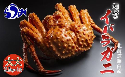 ykCPzmCo p() ΂炪  Jj I  P kCY CY Y x 