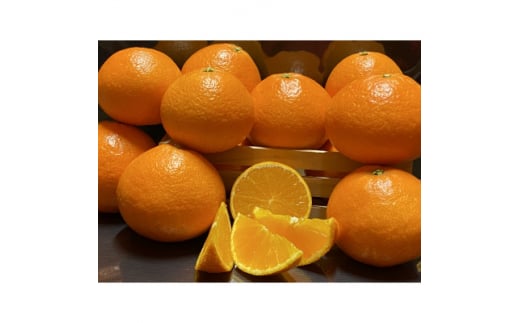 yQlszzƊĈ܂ǂ2.5kgƒpC73-7y1491885z