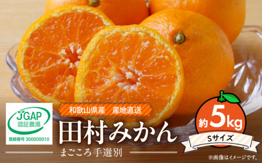 ya̎R󒬁zZE6341n_a̎R 󒬎Y c݂ 5kgySTCYz  ws