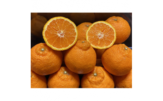 yQlszzƊC̕sm5kgƒpC73-4y1491886z