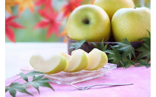 y쌧Xzu₩ȕIyMBYzVimS[h 5kg 10`18 2026N10{蔭 쌧 MB X Yn ʕ  {̂  S 3Z JA݂