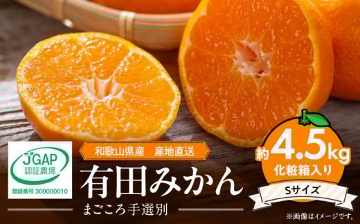 ya̎R󒬁zZE6058n_Lc݂ ϔ 4.5kg STCYy܂Iʁz