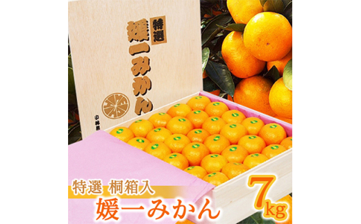 ふるさと納税 八幡浜市 暑い 厳選 甘ーい小玉!西宇和みかん ふるさと納税 八幡浜市 暑い 厳選 甘ーい小玉!西宇和みかん