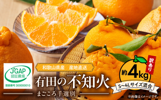 有田　不知火　有田みかん　家庭用　オーダー品 ZE6161n_【2026年先行予約】有田の不知火(しらぬひ) 【訳あり