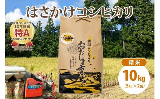 限定米令和5年産/新潟上越大島産/特A棚田はさがけ天日干し米コシヒカリ10kg(5kg×2)精米